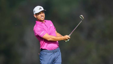 xander schauffele cleverly and legally added an aide to his driver face