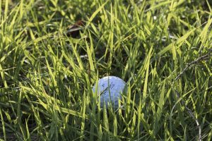 incredible tips to rev up your golf game