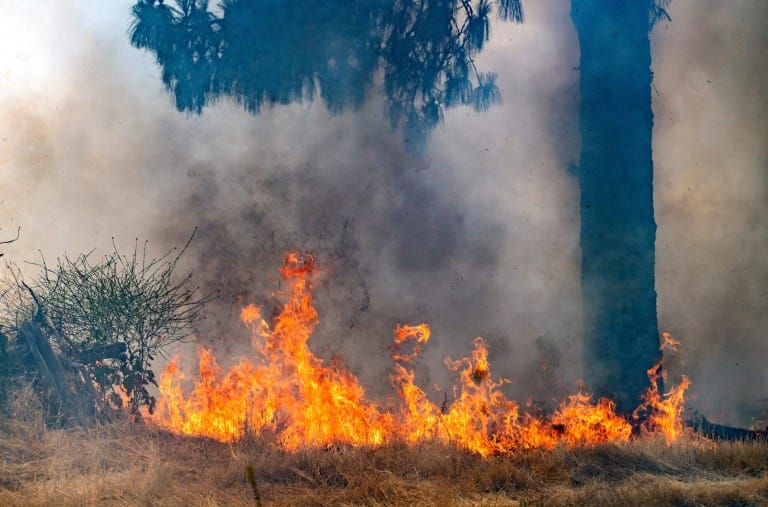 this former california municipal golf course will return to a greenspace under approved plan